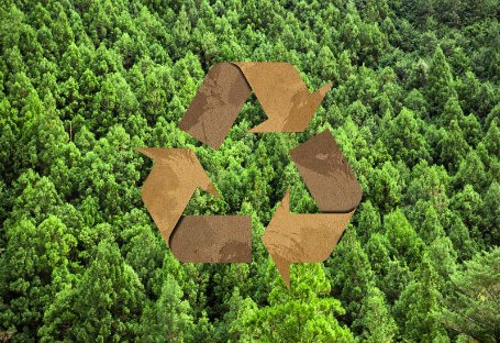 FSC & EUDR & PEFC Útmutató az eldobható vendéglátóipari kellékek beszerzéséhez